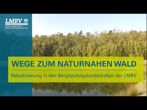 Pathways to near-natural forests – recultivation in the post-mining landscapes of the LMBV