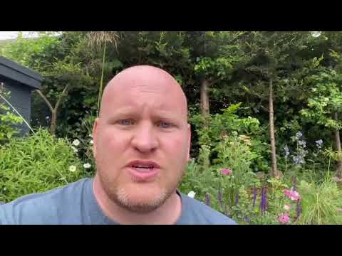 Customer testimonial 4