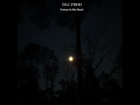 Voices In My Head - DLC.PROD (sound)