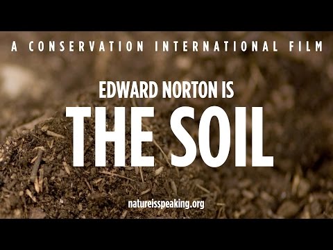 A Natureza Está Falando – Edward Norton é O Solo | Conservação Internacional (CI)