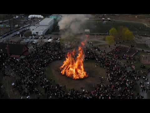 Majbrasa - Fornuddsparken 2019