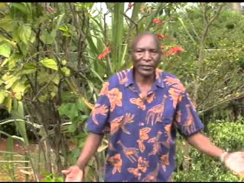 Ogosira gwa Joyce  Monyoncho