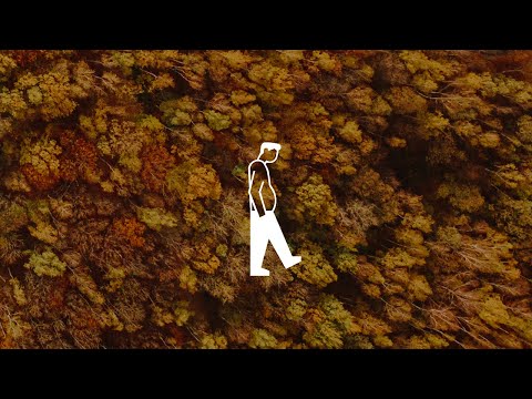 Homie Kato x Sajde - Liście