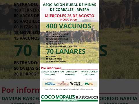 26/08/2026 Rural de Minas de Corrales - Feria mensual - Coco Morales & Asociados