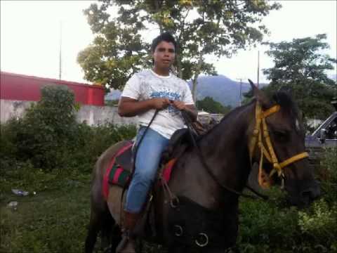 jorge guerrero mix llanera 2015