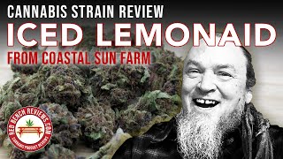 Coastal Sun Farm  | Iced Lemonaid Strain Review | 24% THC