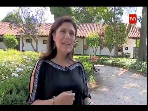 TVN |  Los jóvenes y la lectura en Chile