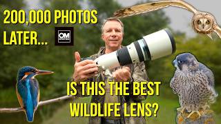Video thumbnail for OM System (Olympus) 150-400mm F4.5 TC1.25x IS PRO Long-Term Review : The Best Wildlife Lens? by Alex Handover Photography