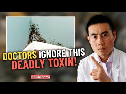 Is Mold TOXICITY Ruining Your Health? Doctor Explains