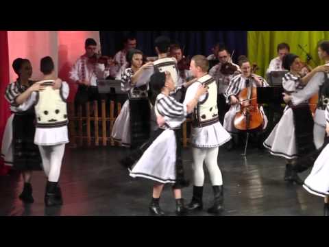 Ansamblul Profesionist Drăgan Muntean  - Lina