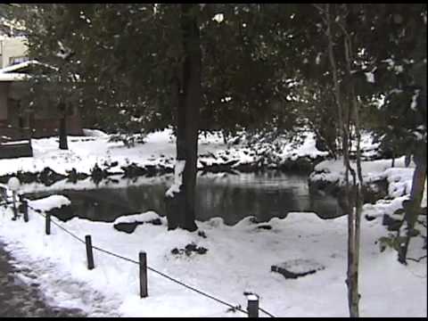 2005.02.11 關西北陸自助旅行 金澤 兼六園 氷室跡