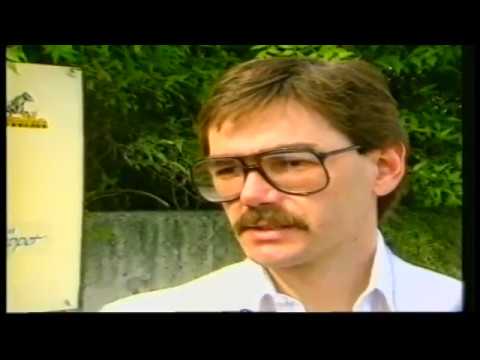 1989 Elitloppet - Elitlopp - Napoletano