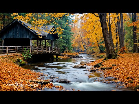 Beautiful Relaxing Music 🍁 Stop Overthinking, Stress Relief Music With Autumn Melodie