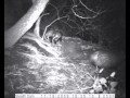 WildPlaces TV Schoolchildren Present A Programme On Nocturnal Animals