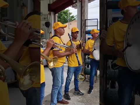 San Carlos ~ La Banda De Willy En Ovejas #tradicionesdemipueblonatal #cordoba #sucre #fandango
