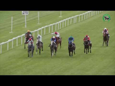 20190512_06_Jarná cena kobýl