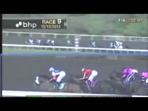 Violence, by Medaglia d'Oro, wins the G1 CashCall Futurity