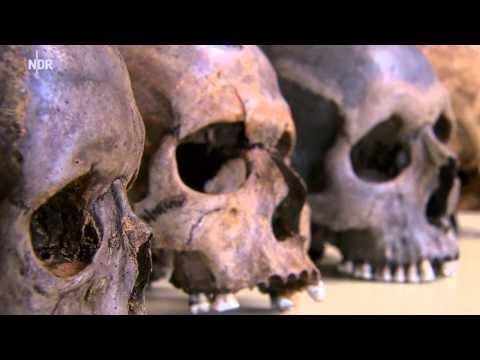 Schatzsucher in Mecklenburg Vorpommern