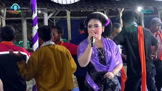 Download lagu TAYUB TUBAN : TEMBANG KANGEN  // JAMBU ALAS mp3 Download lagu TAYUB TUBAN : TEMBANG KANGEN  // JAMBU ALAS mp3