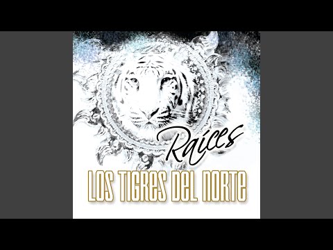 Sin ti - Los Tigres Del Norte