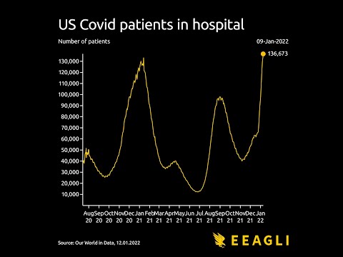 Americans Hospitalized With COVID-19 From July 2020 To January 2022, Visualized
