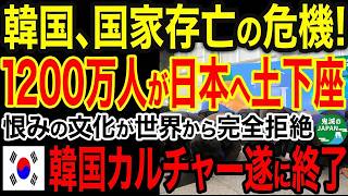 海外の反応日本が羨ましい韓国民の悲痛な叫びが示す文化レベルの決定的格差ｗｗｗ