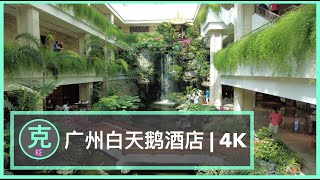4K Relax in Guangzhou White Swan Hotel | 广州白天喝酒店放松