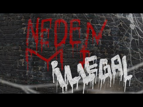 Miniatura de NEDEN Mİ İLLEGAL 4