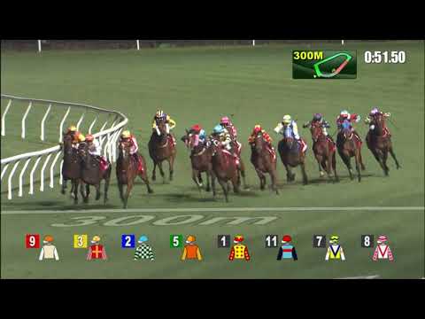 23/2/2022 (450) Armour Eagle - Z Purton