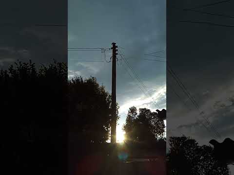 VISITINHAS NO QUINTAL #naturezaperfeita ##vilhena #rondonia #amazonia #vidasaudavel