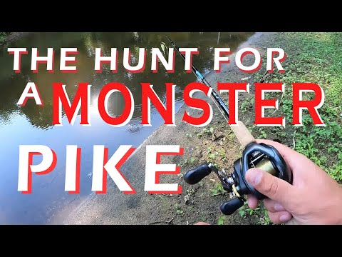 Short Series || The HUNT for a MONSTER Pike || Episode 1