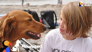 Surfing Dog Reunites With Boy That He Helped Years Ago | The Dodo Reunited