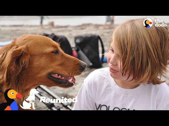 Surfing Dog Reunites With Boy That He Helped Years Ago | The Dodo Reunited
