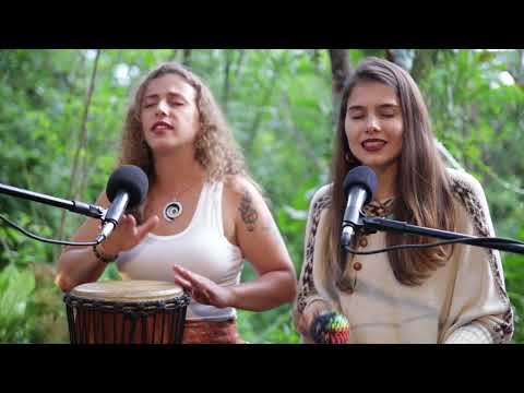 OKE ARÔ #ayahuasca #oxóssi #músicaderezo #medicina