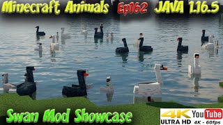 Untitled Swan Mod Showcase JAVA 1.16.5 Minecraft Animals Ep162