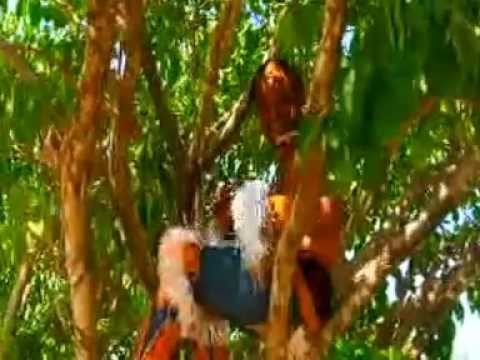 ATITO DE VALLEE   Maman Sény