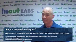 Who should be tested under DOT FMCSA Drug & Alcohol Testing Regulations?