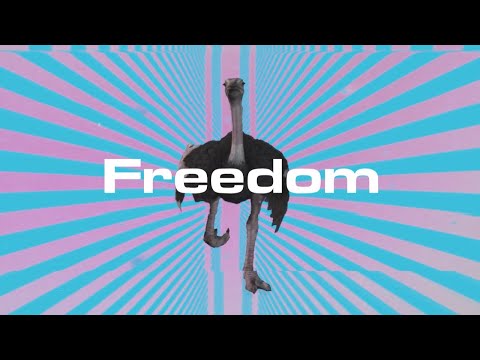 Freedom (Official Video) - Kitsch Kub