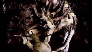 Canine 1987 Severed Heads