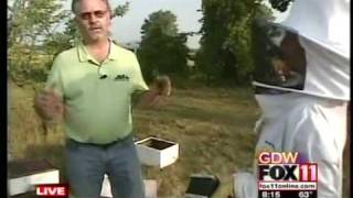 preview picture of video 'Learning about bees in Calumet County'