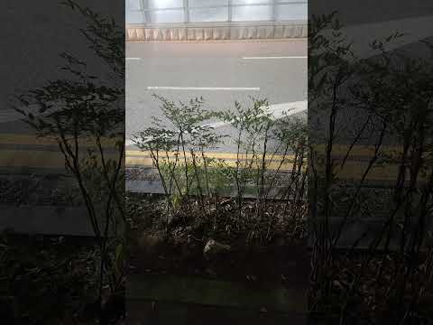오늘도 1공수 17만원｜반도체 현장 출근 브이로그 #삼성반도체