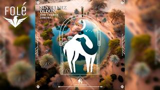 John Van Ride & Johkoba - Sen Gelmez Oldun