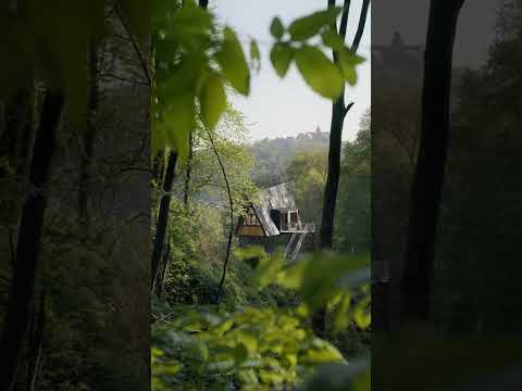Video 6 aus  Baumhausapartment