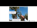 La Importancia Del Zinc Zn En La Producción De Uva De Mesa De Calidad
