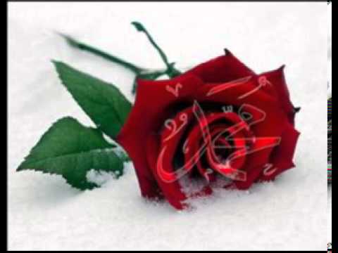 ZBOG TEBE AHMEDE MUHAMMEDE