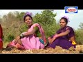 हिरबो हिरबो नेल दिसिलाता | Aadivasi Gondi Geet | Chandani Bhaghel | Suman Audio हिरबो हिरबो नेल दिसिलाता | Aadivasi Gondi Geet | Chandani Bhaghel | Suman Audio