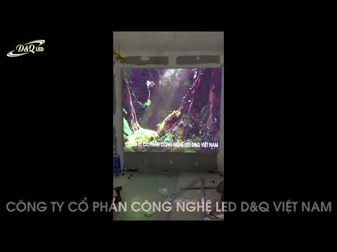 Video dự án