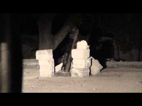 إطلاق صاروخ محلي الصنع من قبل كتائب تابعة للواء أمهات المؤمنين على مواقع قوات النظام في الغوطة الشرقية في ريف دمشق