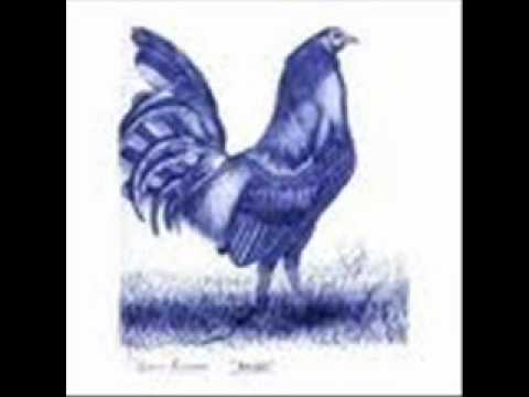 HISTORIA DE UN PRESO  los gallitos del sur.