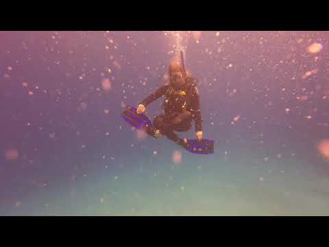 Dive Egypt- Hovering - Perfecting neutral buoyancy